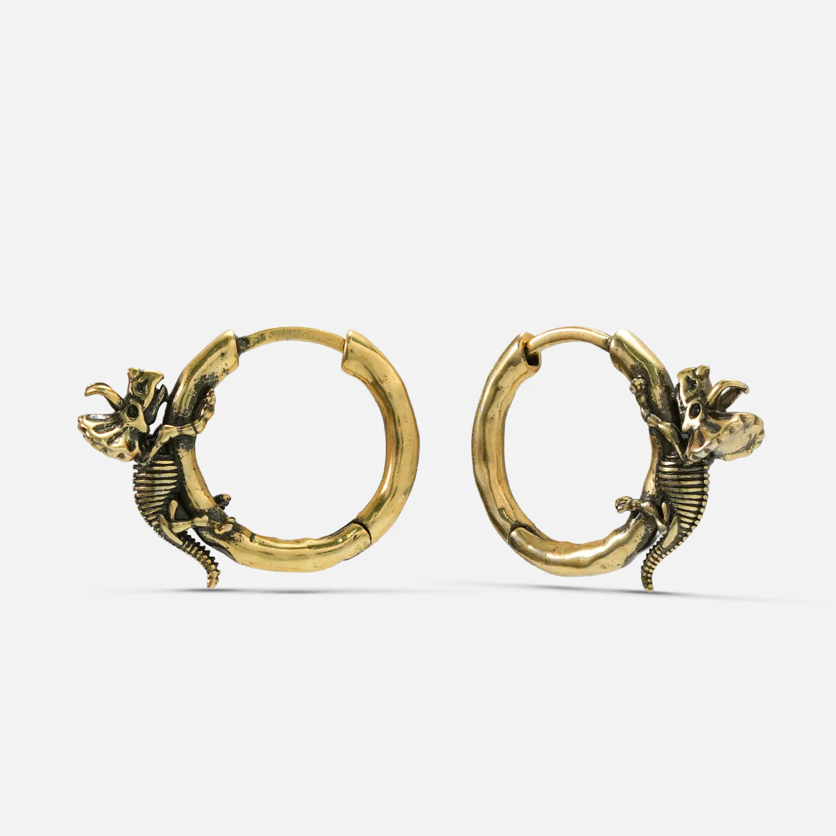 ADAPTIVE EVOLUTION EARRINGS - Image 14
