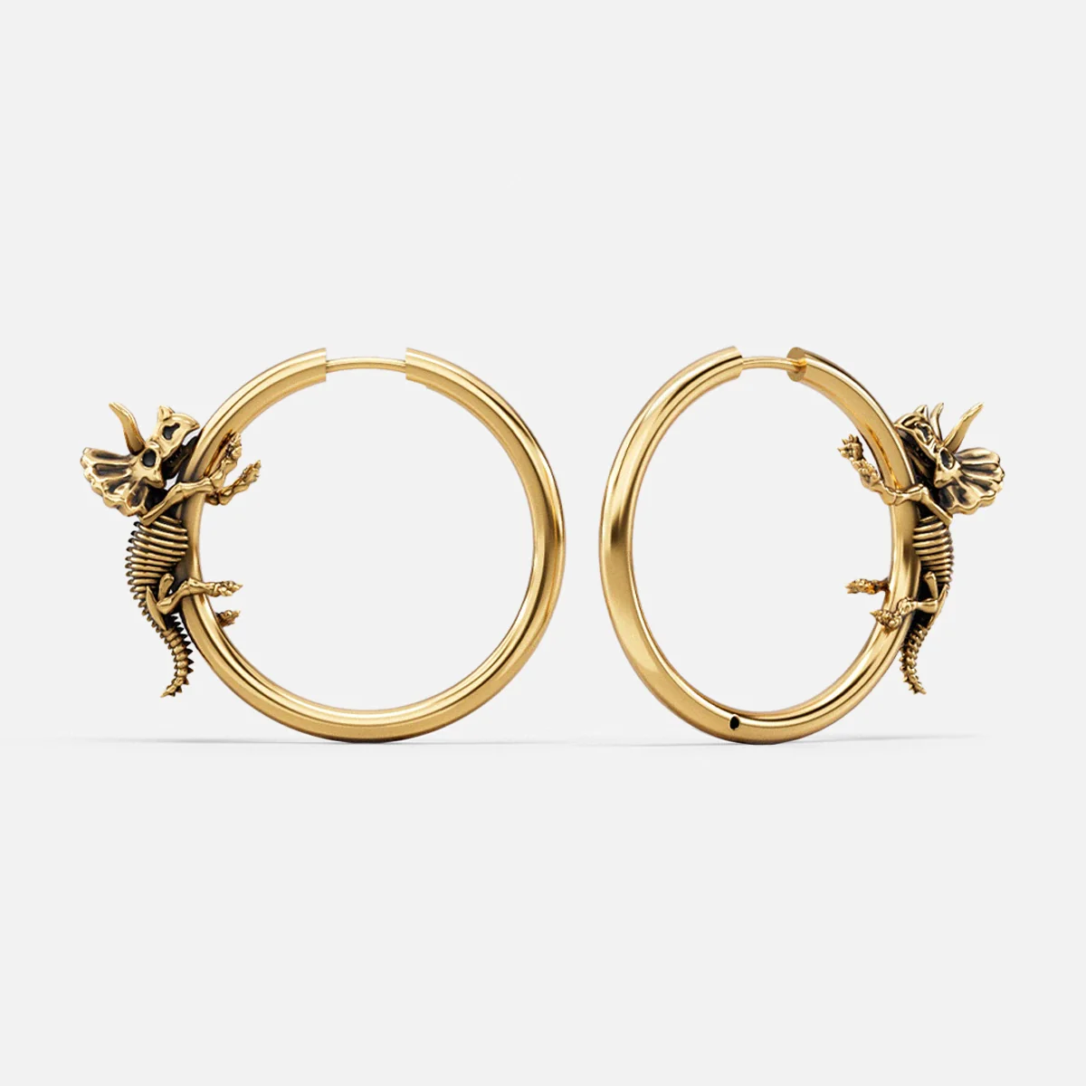 ADAPTIVE EVOLUTION EARRINGS - Image 20