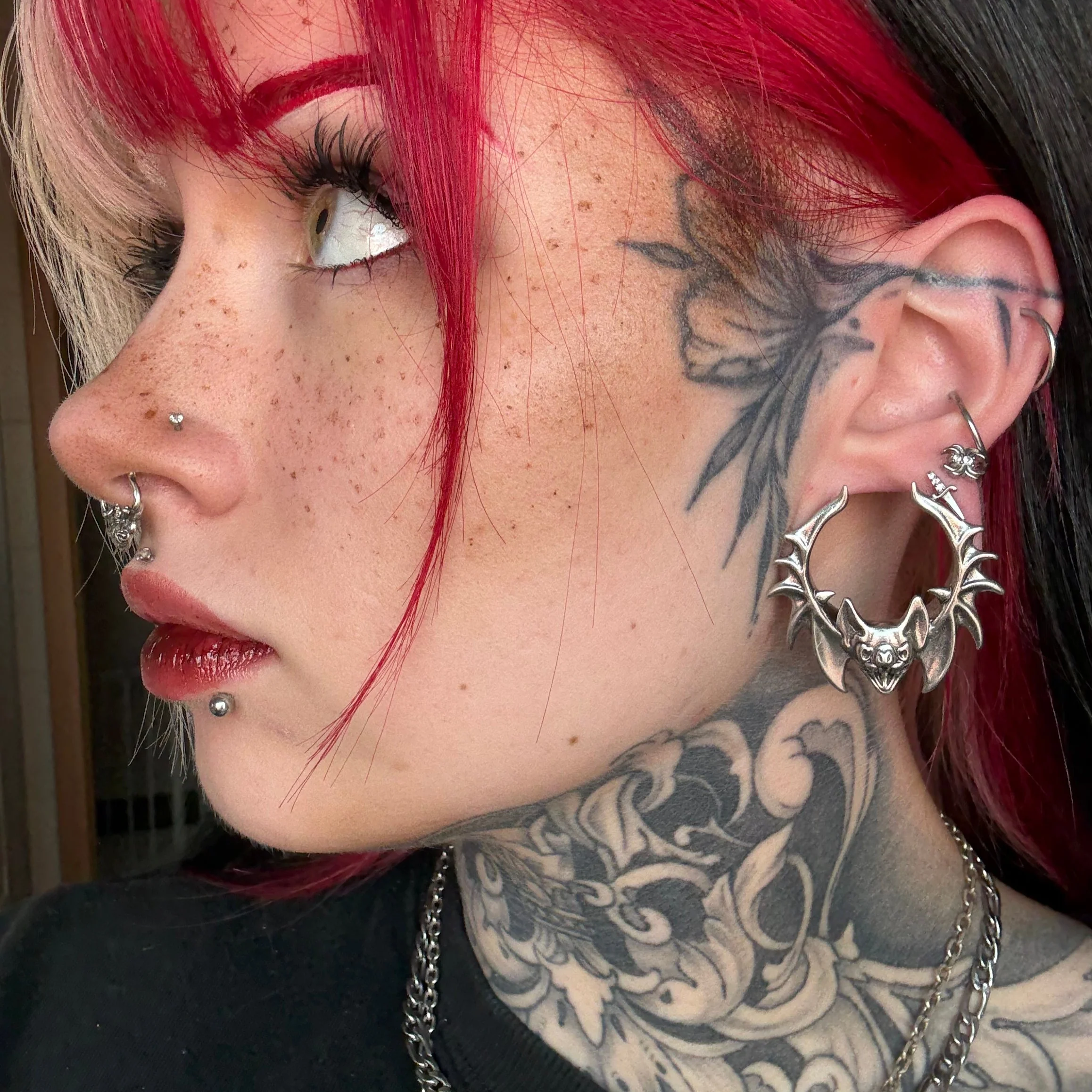 BAT WHISPER TUNNELS - Image 8