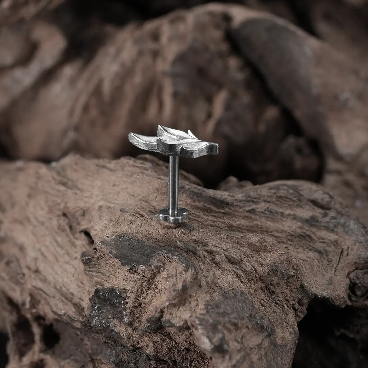 BRAMBLE LEAF EAR STUDS - Image 8