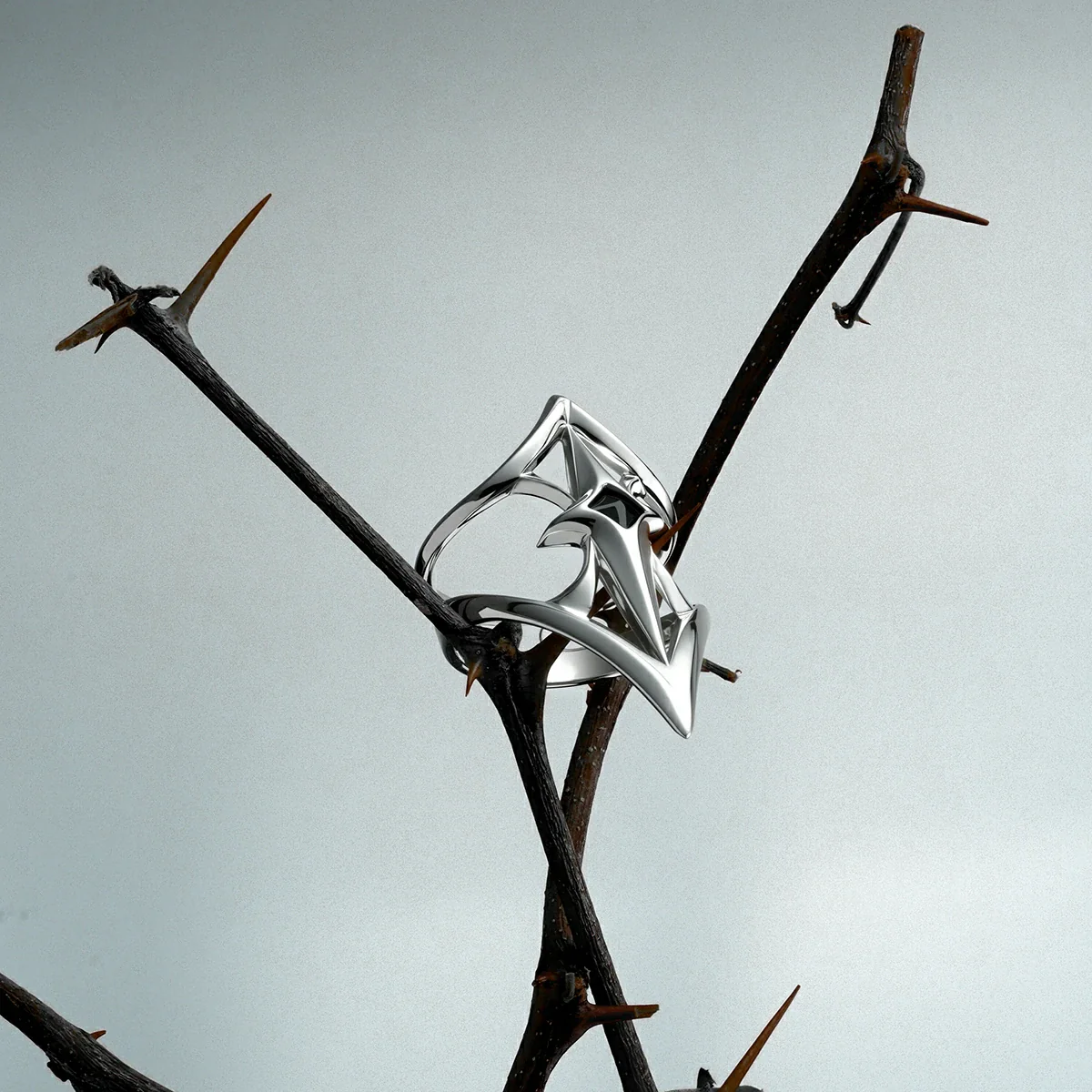 CREST SHIELD RING - Image 7