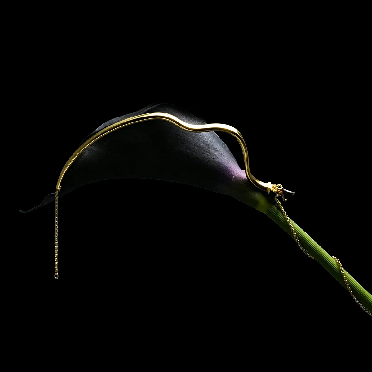 SERPENT TRACE LARIAT - Image 12